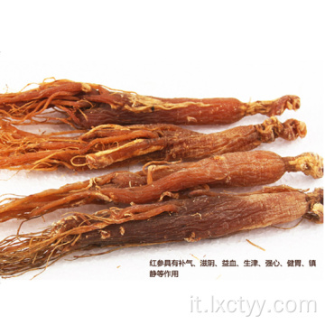 tè estratto di ginseng rosso